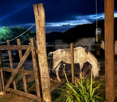 El campo, tal como es.