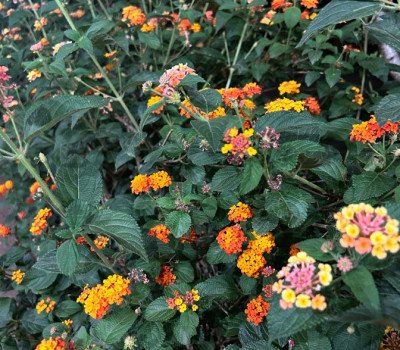 Detalles que enamoran.