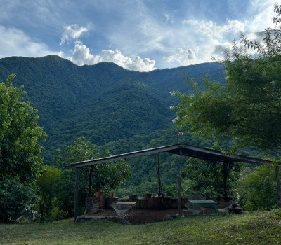 Descansar mirando lejos.