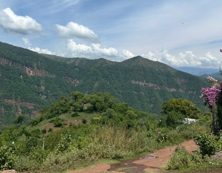 Naturaleza en estado puro.