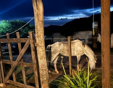 El campo, tal como es.