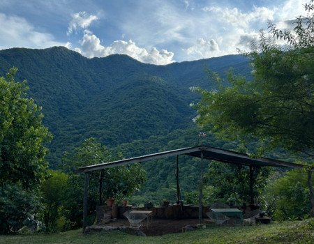 Descansar mirando lejos.