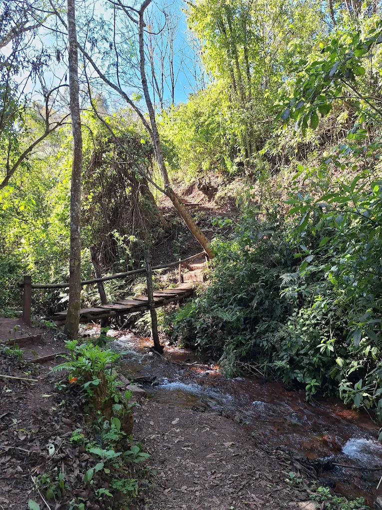 Arroyo Ojo de Agua - imagen 1