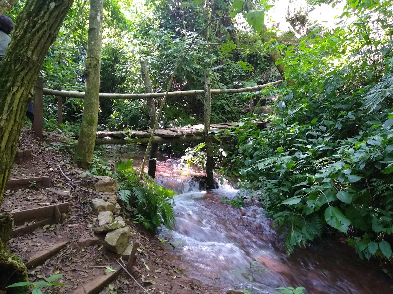 Arroyo Ojo de Agua - imagen 2