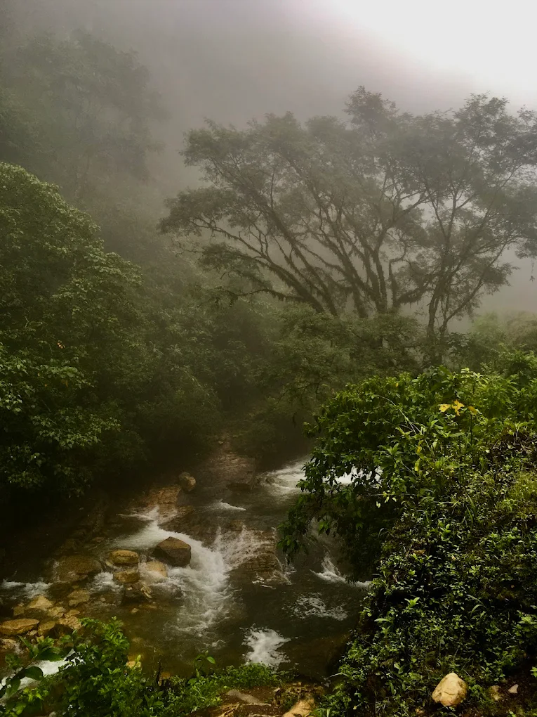 Cañón de los Loros - imagen 2