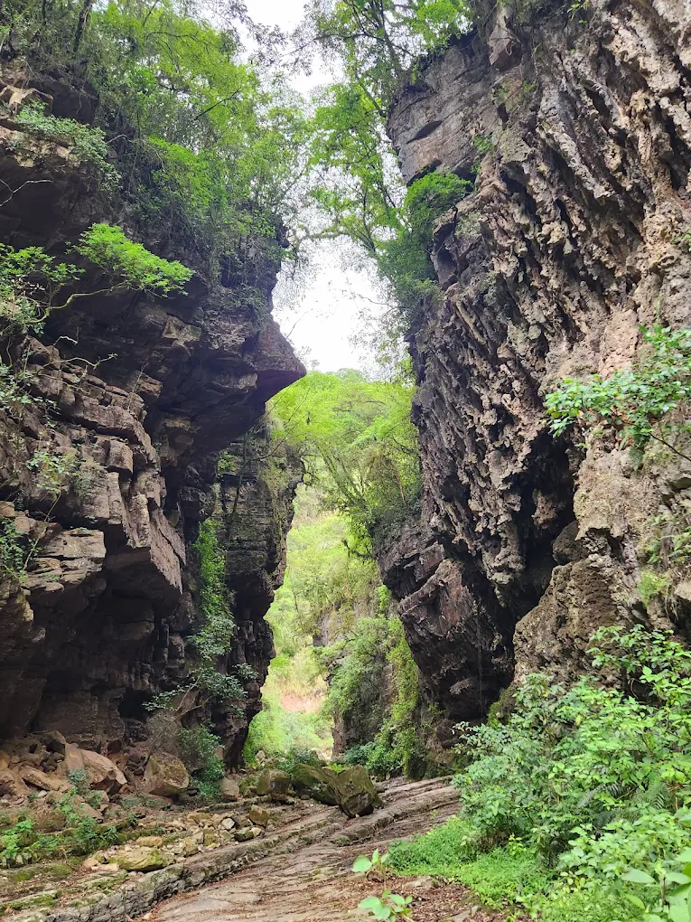 Cañón de los Loros - imagen 3