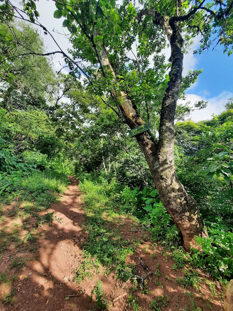 Cascada La Toma - imagen 3