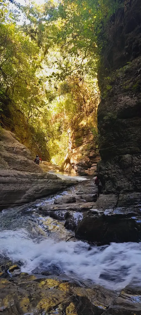 Fuente del Jaguar - imagen 1