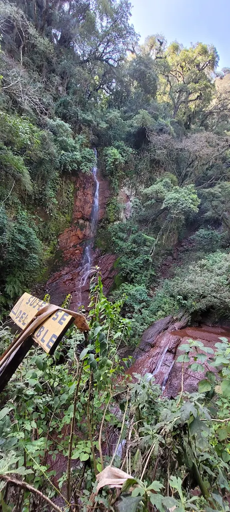 Mirador del Ceibo - imagen 3