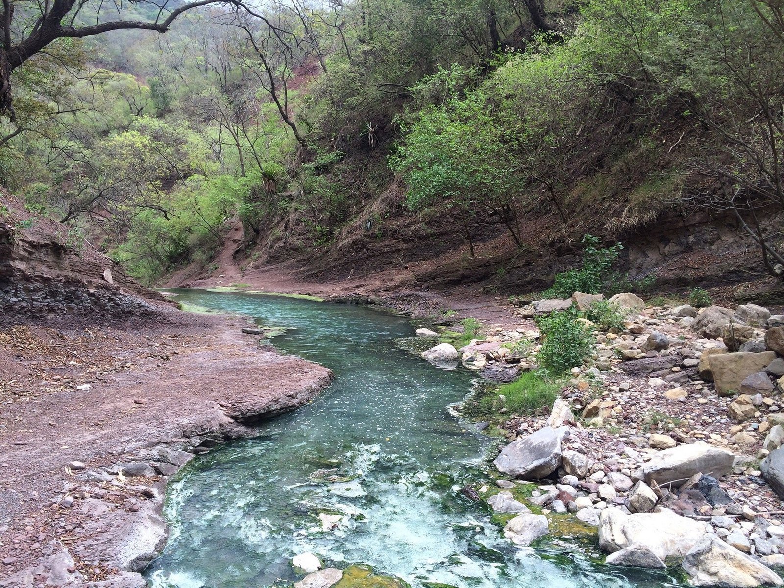 Termas del Jordán - imagen 2