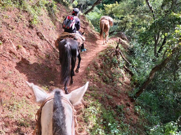 Paseo a caballo - imagen 1